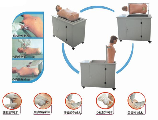 高級(jí)全自動(dòng)多種穿刺叩診電腦模擬人