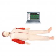 高級心肺復蘇模擬人(計算機控制)