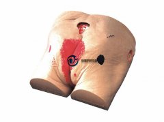 高級(jí)壓瘡(褥瘡)護(hù)理模型