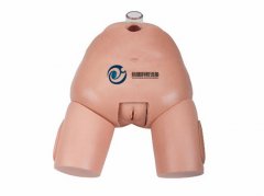 高級女性膀胱穿刺模型