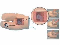 高級灌腸和輔助排便訓練模型