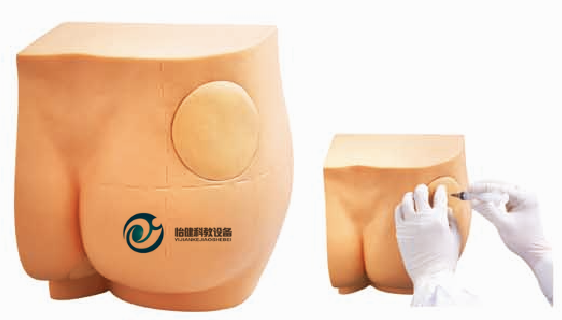 臀部注射訓(xùn)練模型