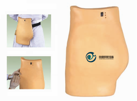 高級(jí)電子臀部注射訓(xùn)練模型