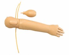 高級(jí)嬰兒動(dòng)脈注射模型