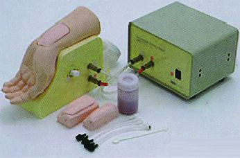 高級動脈穿刺手部模型