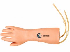 高級手部靜脈穿刺訓練模型