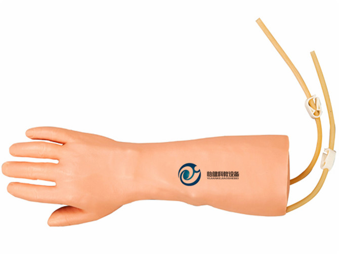 高級手部靜脈穿刺訓練模型