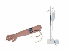 高級手臂靜脈穿刺及肌肉注射訓練模型