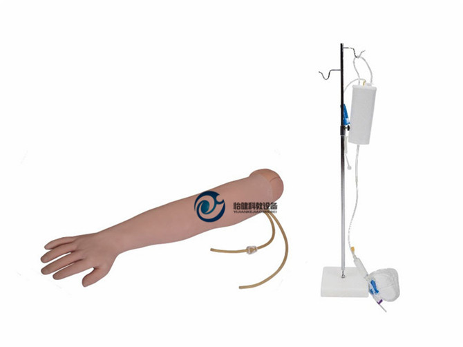高級手臂靜脈穿刺及肌肉注射訓練模型