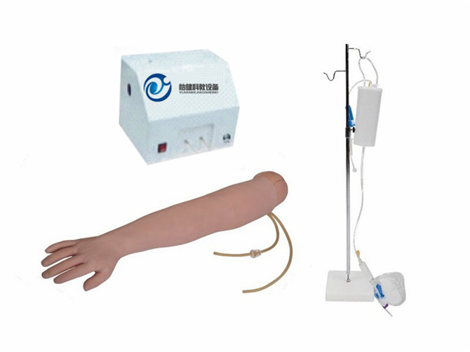 高級手臂靜脈穿刺及肌肉注射訓練模型(帶循環裝置)