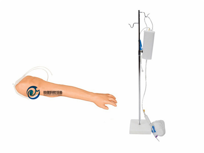 完整靜脈穿刺手臂模型