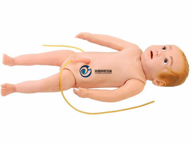 高級嬰兒全身靜脈穿刺訓練模型