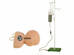 高級嬰兒頭皮靜脈穿刺訓(xùn)練模型