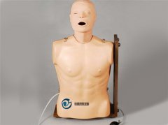 高級鼻胃管與氣管護(hù)理模型