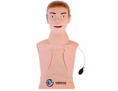 鼻胃管與氣管護理模型