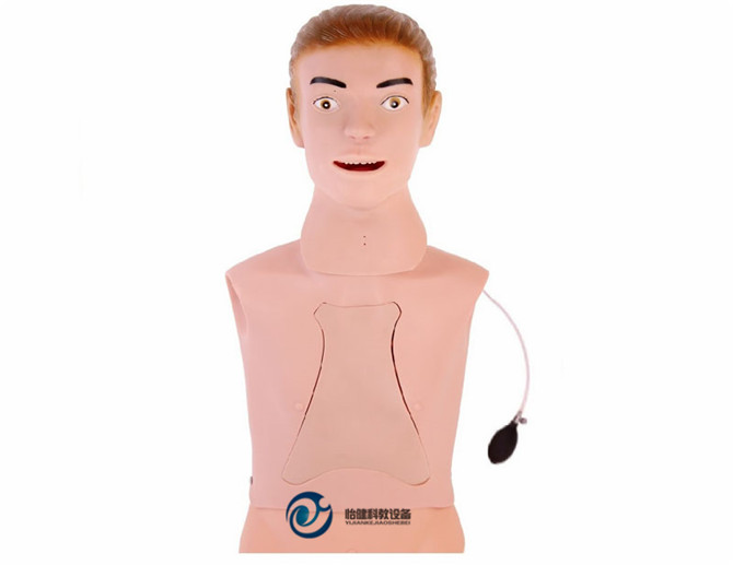 高級鼻飼管與氣管護理模型