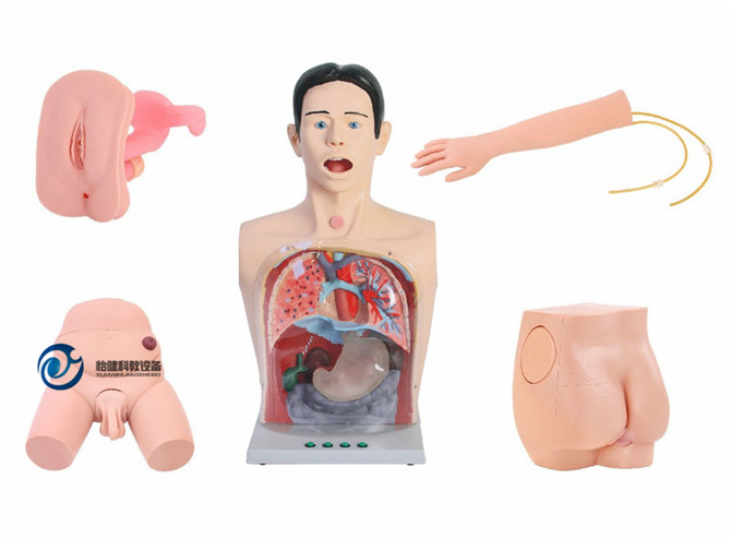 新型基礎護理模型