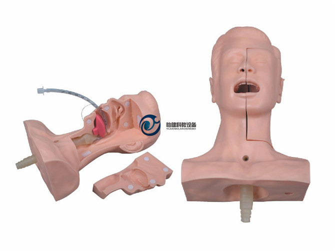高級吸痰練習模型
