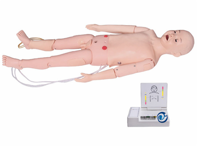 全功能五歲兒童高級(jí)模擬人