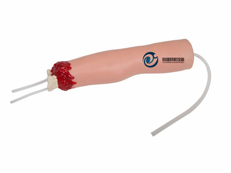 上肢外傷斷肢止血模型