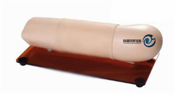 手臂皮下埋入避孕訓(xùn)練模型