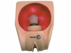 高級(jí)女性避孕練習(xí)模型