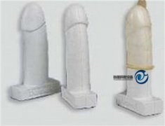 高級男性避孕套練習模型