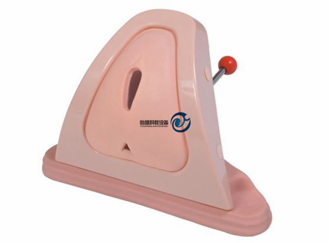 高級會陰切開縫合技能訓練模型