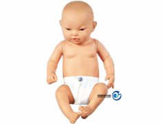 高智能嬰兒模擬人