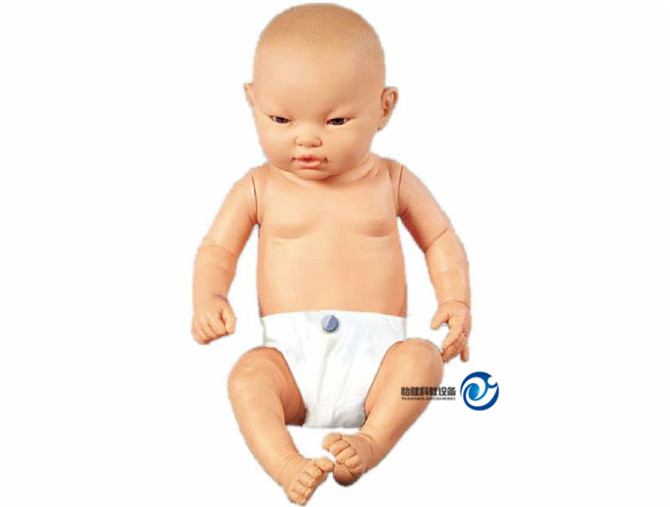 高級智能嬰兒模型