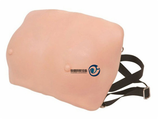 高級(jí)乳房檢查模型