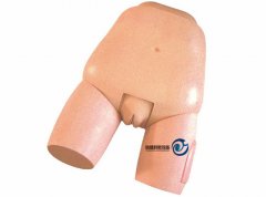 高級子宮底檢查評定模型