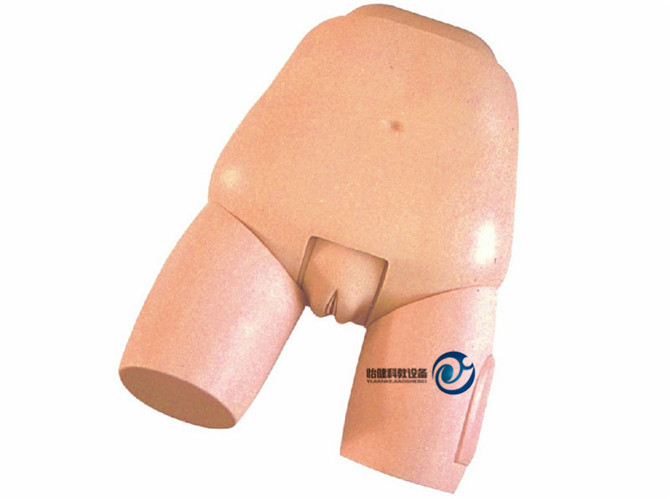 高級子宮底檢查評定模型