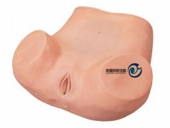 高級婦科訓(xùn)練模型