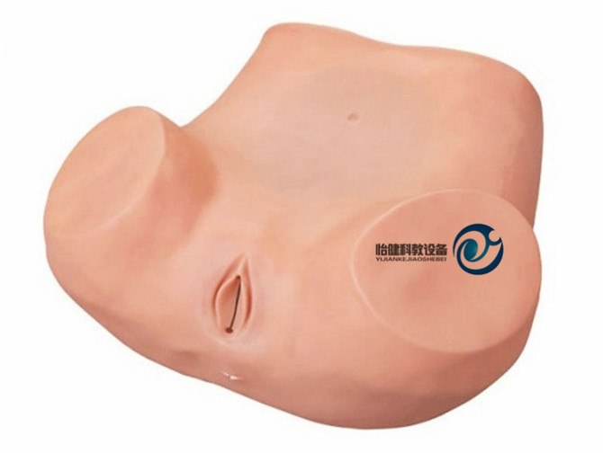 高級婦科訓(xùn)練模型