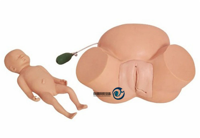 高級難產示教訓練模型