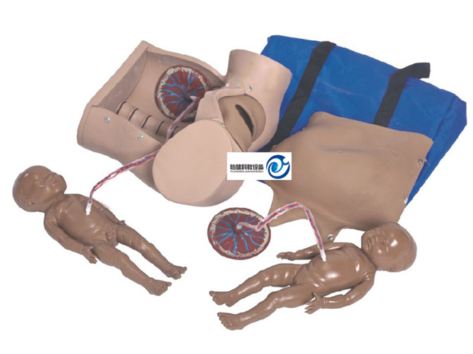 高級分娩綜合技能訓練模型
