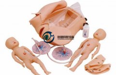 高級分娩機制示教系列模型