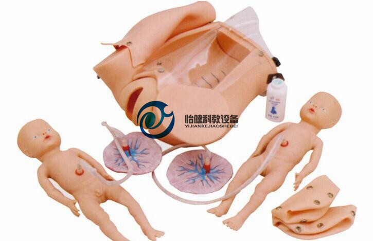 高級分娩機制示教系列模型