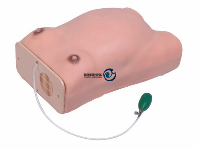 高級(jí)孕婦檢查模型