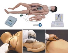 高級分娩與母子急救模擬人