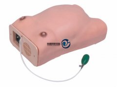 高級電腦孕婦檢查模型