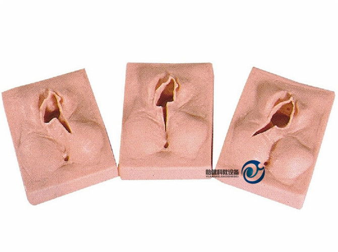 高級外陰縫合練習模型