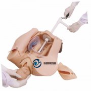 高級手搖分娩機制示教模型