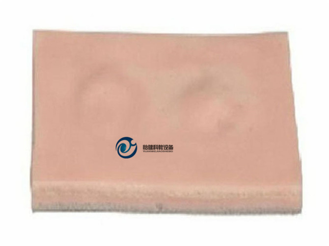 脂肪瘤切除術練習模塊