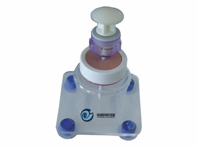 高級套管針訓(xùn)練模型