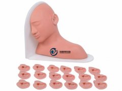 高級耳部檢查模型