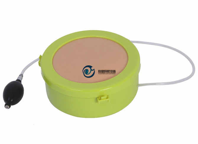 剖腹手術切開縫合模型