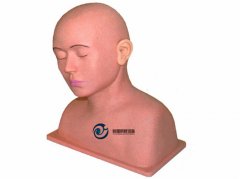 高級(jí)耳部沖洗模型