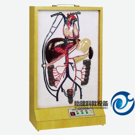 電動門靜脈側(cè)支循環(huán)模型